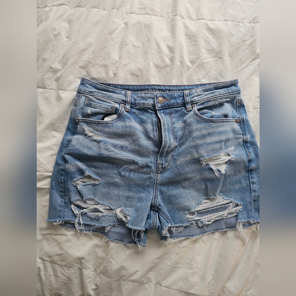 American Eagle Outfitters Light Blue Distressed Jean Shorts